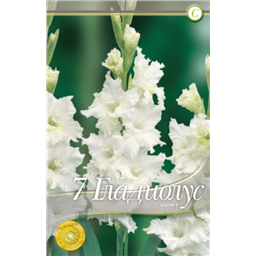 Снови Раффл