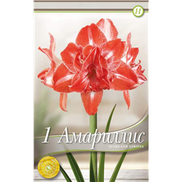 Старс энд Страйпс