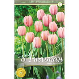 Свит Импрешн