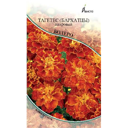Тагетес  (бархатцы) Болеро