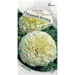Тагетес (бархатцы) Снежный шторм прямостоячий