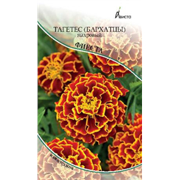 Тагетес (бархатцы) Фиеста