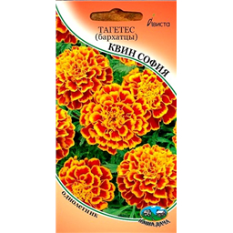 Тагетес (бархатцы) Куин София
