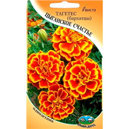 Тагетес (бархатцы) Цыганское счастье