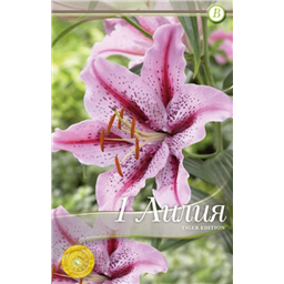 Тайгер Эдишн