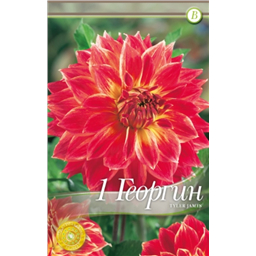 Тайлер Джеймс