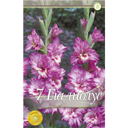 Танго Раффл