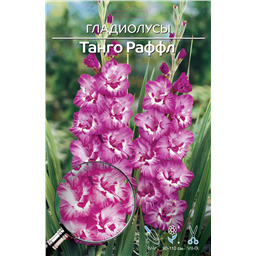 Танго Раффлз