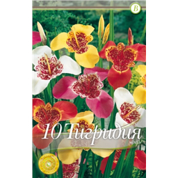 Тигридия Феррария