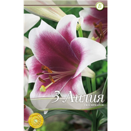 Триумфатор