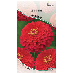 Цинния Метеор 
