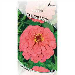 Цинния Салмон Квин 