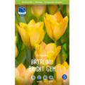 Тюльпан Брайт Джем