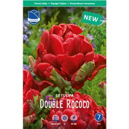 Тюльпан Дабл Рококо