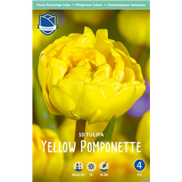Тюльпан Йеллоу Помпонет