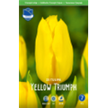 Тюльпан Йеллоу Триумф