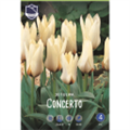 Тюльпан Концерто