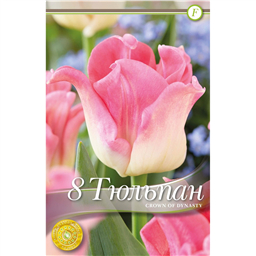 Тюльпан Краун оф Династи