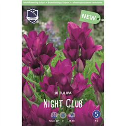 Тюльпан Найт Клаб