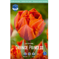 Тюльпан Орандж Принцесс