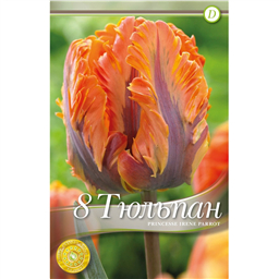 Тюльпан Принцесс Ирен Пэррот