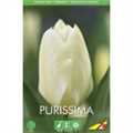Тюльпан Пуриссима(упаковка мини)