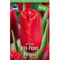 Тюльпан Ред Прауд