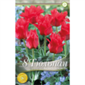 Тюльпан Ред Райдинг Худ Дабл