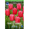 Тюльпан Санкт Петербург