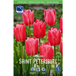Тюльпан Санкт Петербург