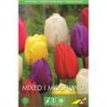 Тюльпан Смесь триумф(упаковка мини)