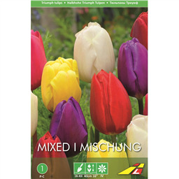 Тюльпан Смесь триумф(упаковка мини)