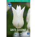 Тюльпан Уайт Элеганс
