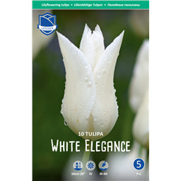 Тюльпан Уайт Элеганс