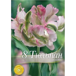 Тюльпан Грин Вейв