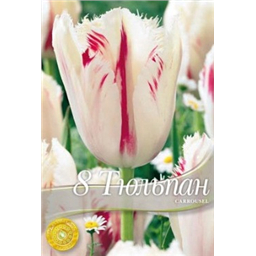 Тюльпан Карусель