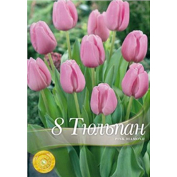Тюльпан Пинк Дайменд