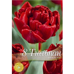 Тюльпан Ред Бэби Долл