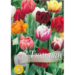 Тюльпаны  махровые смесь
