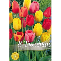 Тюльпаны Дарвиновы гибриды смесь