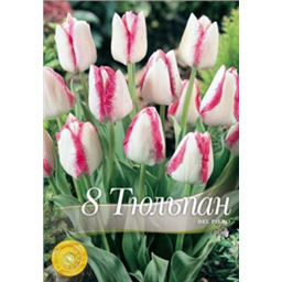 Тюльран Дель Пьеро