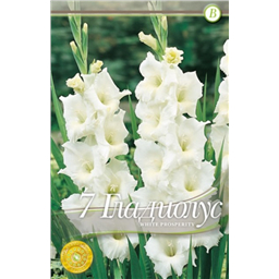 Уайт Просперите