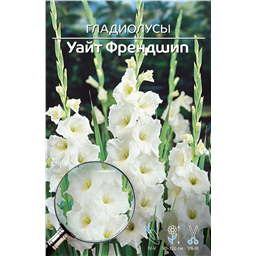 Уайт Френдшип