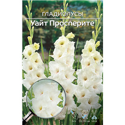 Уайт Просперите