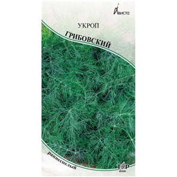 Укроп Грибовский 