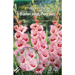 Вайн энд Роузес