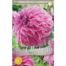 Васио Меггос