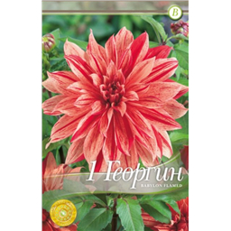 Вавилон Флейм