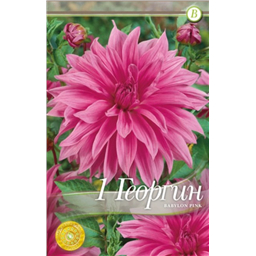 Вавилон Пинк