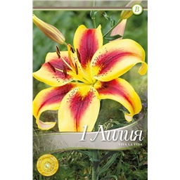 Вива Ла Вида